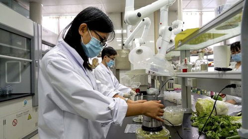 安丘市推進農(nóng)產(chǎn)品檢驗檢測流程再造，開啟檢測信息共享新篇章